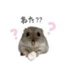 おもちの日常すたんぷ（個別スタンプ：7）