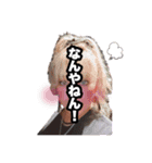 えーすたじお ふぁみりぃー（個別スタンプ：3）