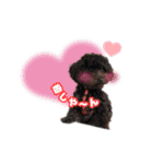 えーすたじお ふぁみりぃー（個別スタンプ：4）