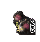 えーすたじお ふぁみりぃー（個別スタンプ：7）