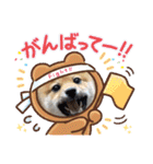 豆柴サクの日常。Part1（個別スタンプ：11）