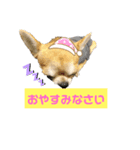 ケロコロスタンプ（個別スタンプ：4）