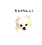 ケロコロスタンプ（個別スタンプ：5）