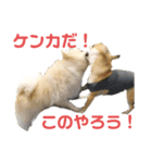 ケロコロスタンプ（個別スタンプ：7）