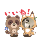 にゃこにゃんにゃんこ3（個別スタンプ：10）