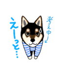 いつでも元気！犬の生活（個別スタンプ：12）