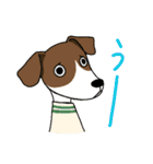 いつでも元気！犬の生活（個別スタンプ：23）