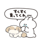 犬とうさちゃん（個別スタンプ：12）