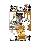 【Big】仲良しワンコ 『犬の日＆秋』（個別スタンプ：6）