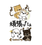 【Big】仲良しワンコ 『犬の日＆秋』（個別スタンプ：25）