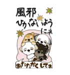 【Big】仲良しワンコ 『犬の日＆秋』（個別スタンプ：35）