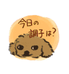 犬康生活（個別スタンプ：13）