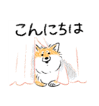 犬のもなか3（個別スタンプ：6）