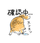 犬のもなか3（個別スタンプ：24）