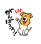 保護犬応援スタンプ＜保護活動にエールを＞（個別スタンプ：1）