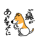 保護犬応援スタンプ＜保護活動にエールを＞（個別スタンプ：9）