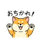 とってもむちむち！柴犬むち【犬の日】（個別スタンプ：11）