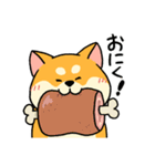 とってもむちむち！柴犬むち【犬の日】（個別スタンプ：35）