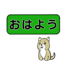 吹き出しシバ犬君（個別スタンプ：1）