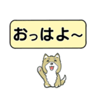 吹き出しシバ犬君（個別スタンプ：3）