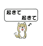 吹き出しシバ犬君（個別スタンプ：5）