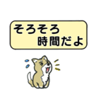 吹き出しシバ犬君（個別スタンプ：7）