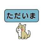 吹き出しシバ犬君（個別スタンプ：13）