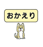 吹き出しシバ犬君（個別スタンプ：14）