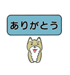 吹き出しシバ犬君（個別スタンプ：18）