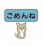 吹き出しシバ犬君（個別スタンプ：20）