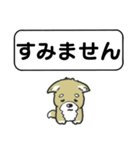 吹き出しシバ犬君（個別スタンプ：21）