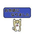 吹き出しシバ犬君（個別スタンプ：22）