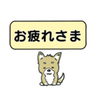 吹き出しシバ犬君（個別スタンプ：23）