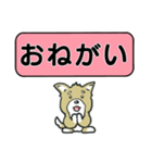 吹き出しシバ犬君（個別スタンプ：24）