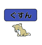 吹き出しシバ犬君（個別スタンプ：26）