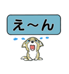 吹き出しシバ犬君（個別スタンプ：27）