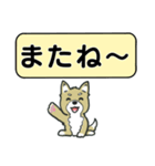 吹き出しシバ犬君（個別スタンプ：28）