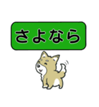 吹き出しシバ犬君（個別スタンプ：29）