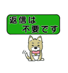 吹き出しシバ犬君（個別スタンプ：31）