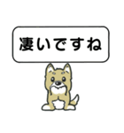 吹き出しシバ犬君（個別スタンプ：32）