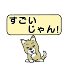 吹き出しシバ犬君（個別スタンプ：33）