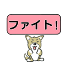 吹き出しシバ犬君（個別スタンプ：37）