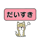 吹き出しシバ犬君（個別スタンプ：39）