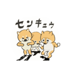 ふんどしば ～動くワン～（個別スタンプ：11）