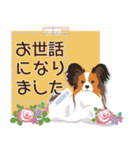 With lovely dogs.（個別スタンプ：12）