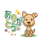 【犬の日】かわいい茶色犬スタンプ（個別スタンプ：8）
