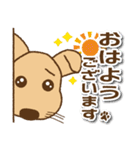 【犬の日】かわいい茶色犬スタンプ（個別スタンプ：21）