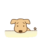 【犬の日】かわいい茶色犬スタンプ（個別スタンプ：37）