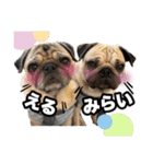 えるみらん家（個別スタンプ：1）