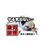 えるみらん家（個別スタンプ：2）